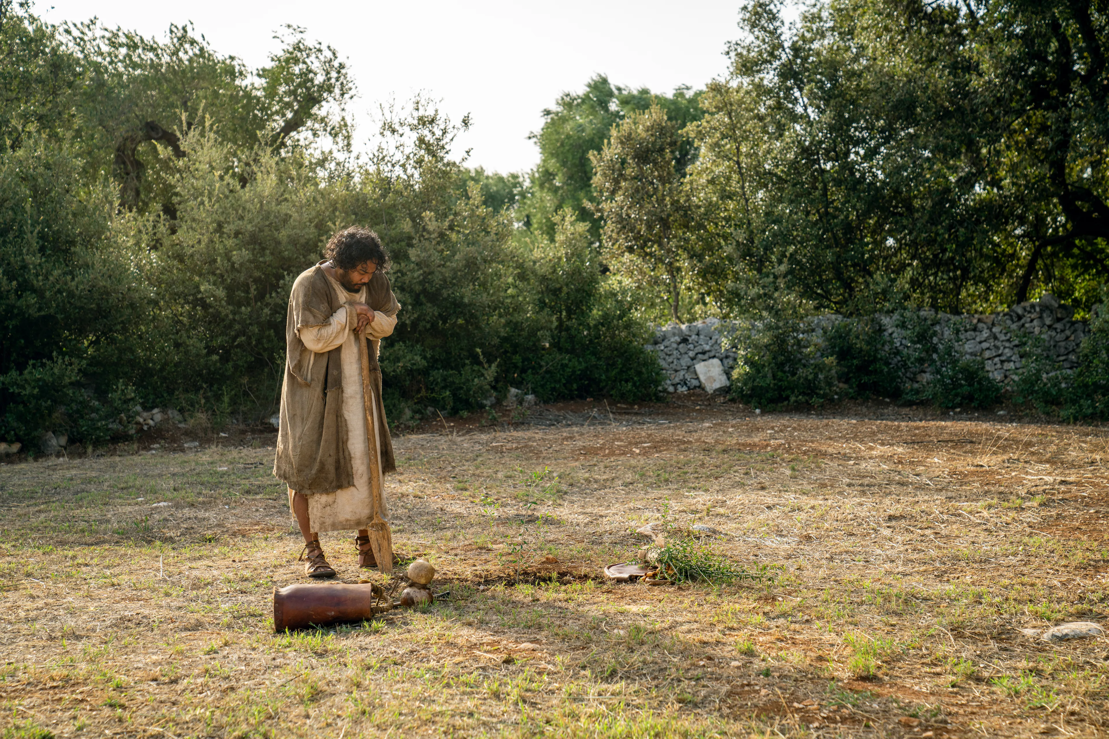 The Lord of the Vineyard plants natural branches from the mother olive tree on the outskirts of the vineyard. This is part of the olive tree allegory mentioned in Jacob 5.