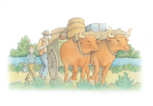 A watercolor illustration of two oxen yoked together, pulling a cart loaded with barrels and boxes.