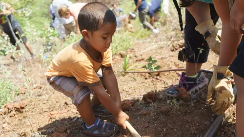 a young boy helping to plant a tree