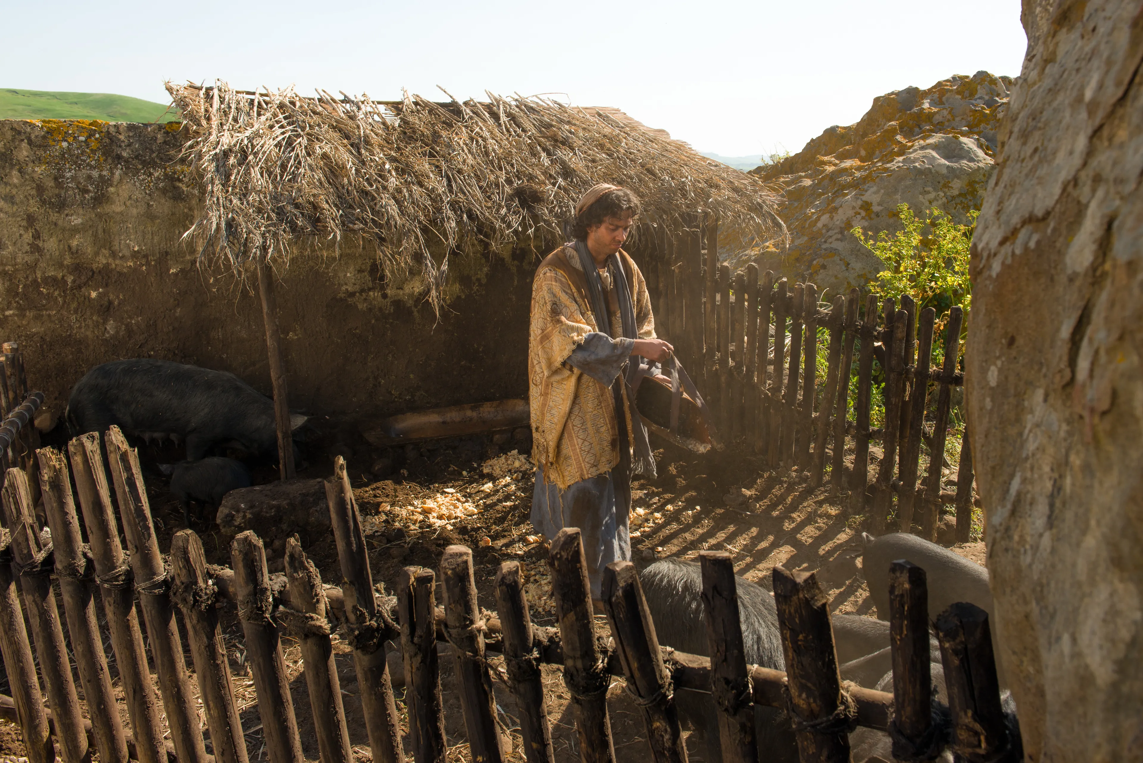The younger son tries to find work and feeds swine and hungers.