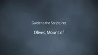 06897_2023-10-6260-olives-mount-of.jpg