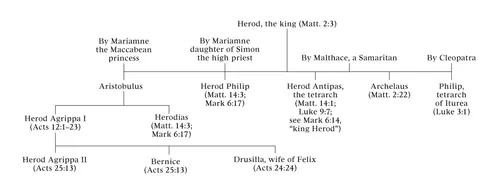 diagram of the family of Herod