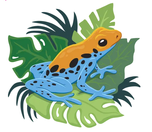orange and blue frog