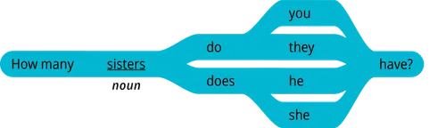 pattern 1 question how many noun do you have
