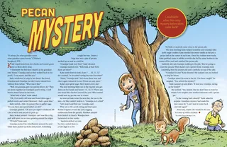 Pecan Mystery