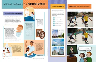 Makalingaw nga Seksiyon