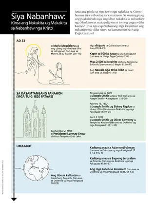 infographic about witnesses seeing resurrected Christ