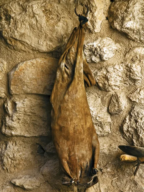 돌담에 걸려 있는 포도주 가죽