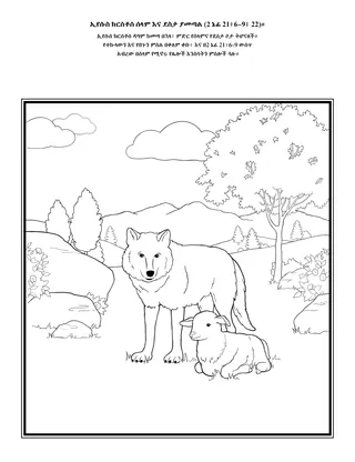 የአክቲቪቲ ገጽ፦ ኢየሱስ ክርስቶስ ሰላምን እና ደስታን ያመጣል።