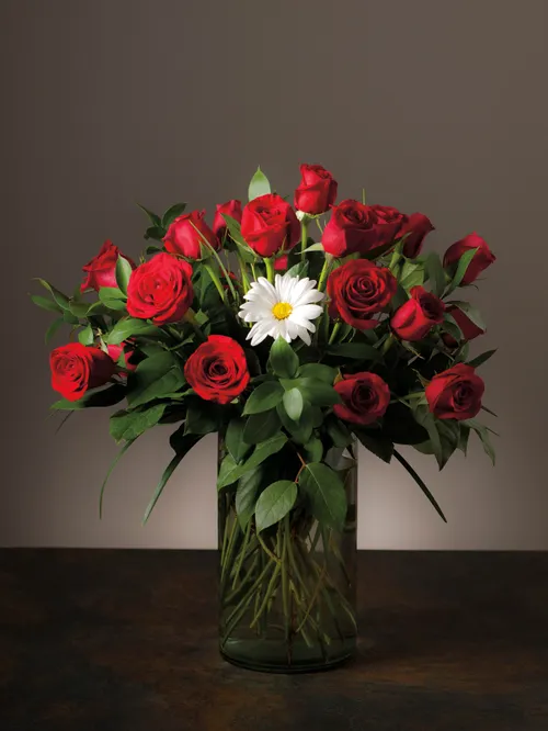 vase of roses with one daisy