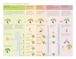 Schema De gelijkenis van de olijfbomen