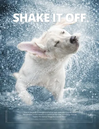 dog shaking water off itself