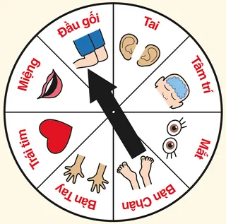 dụng cụ quay tròn