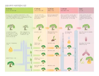 감람나무의 비유 도표
