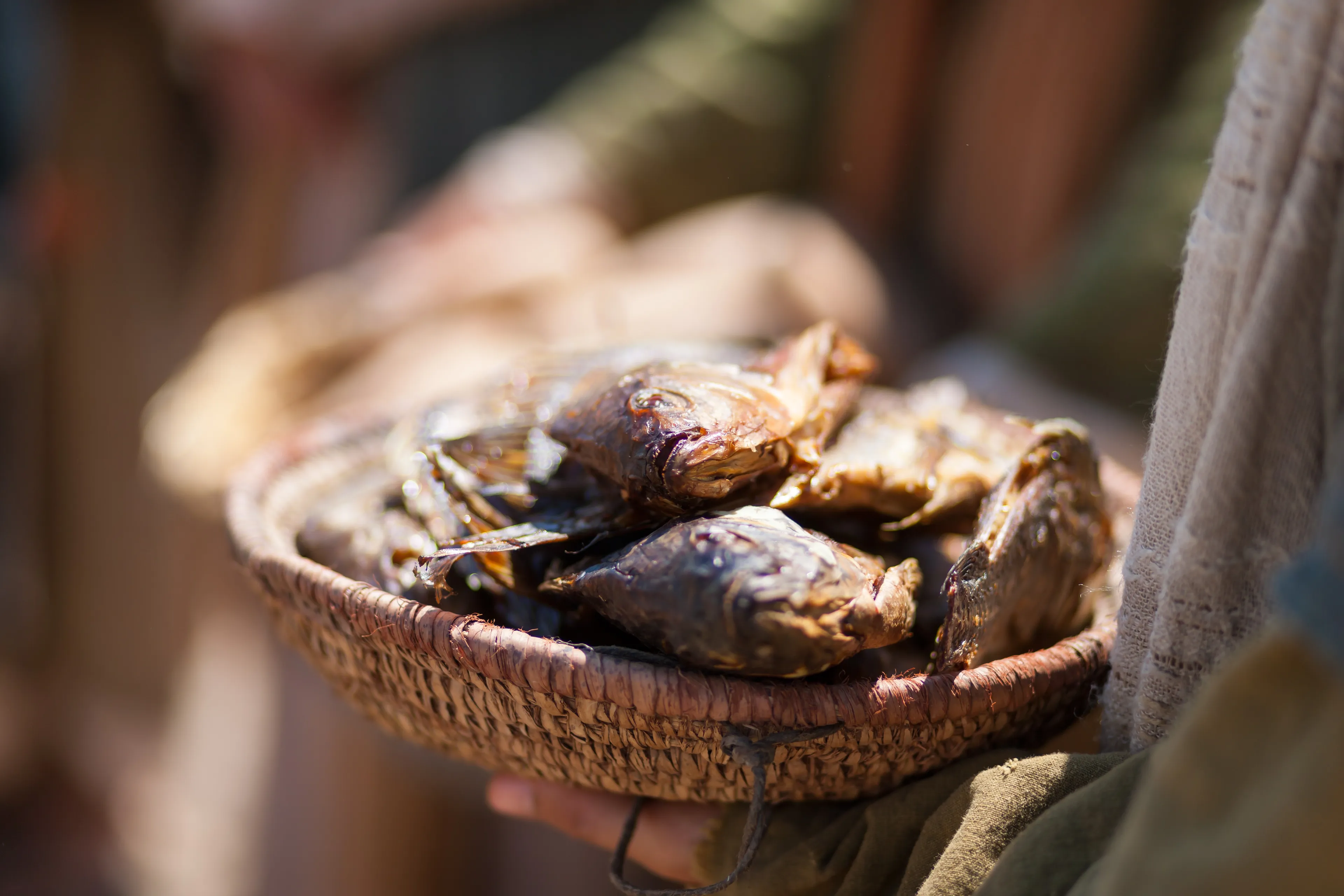 The fish used by Jesus Christ to feed 5,000 people.