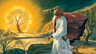 The Old Testament prophet Moses kneeling before the burning bush on Mount Sinai.  Light is emanating from the bush.