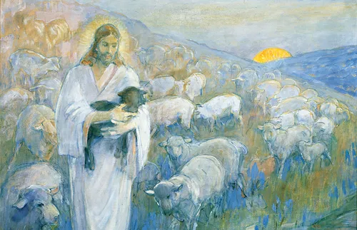 Rescue of the lost sheep