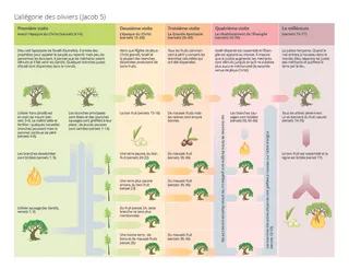 L’allégorie des oliviers