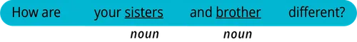 pattern 2 question how are your noun and noun different
