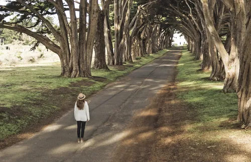 woman standing on tree-lined road