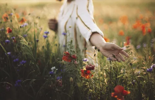woman walking in field of wildflowers