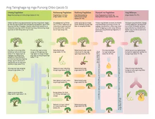 diagram ng talinghaga ng punong olibo