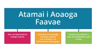 siata faasolo mo le atamai i aoaoga faavae