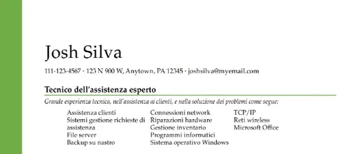 good résumé example