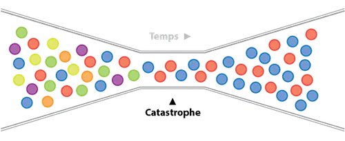 Illustration du goulot d’étranglement génétique