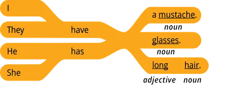 pattern 1 answer they have adjective noun