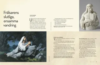 the saviors final lonely journey PDF 1