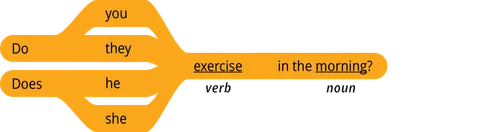 pattern 1 question do you verb in the noun
