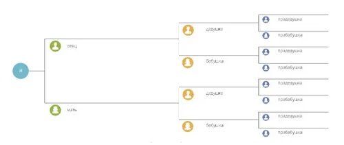 диаграмма родословия