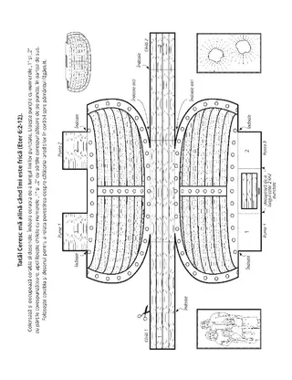 Pagină cu activități: Tatăl Ceresc i-a ajutat pe iarediți la construirea corăbiilor