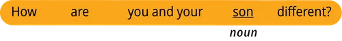 pattern 1 question how are you and your noun different