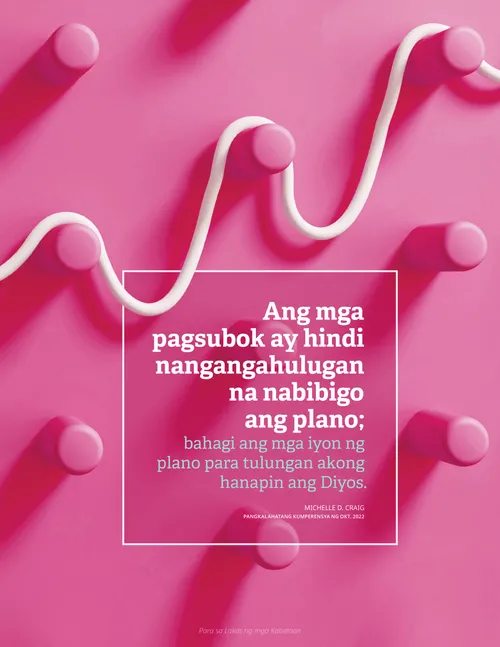 sipi sa Craig poster