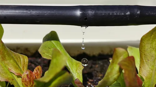 drip irrigation system