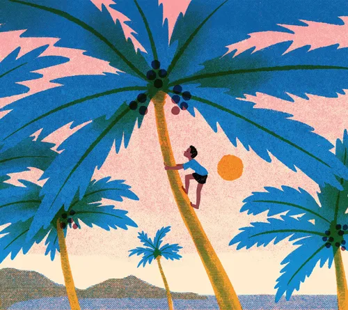 boy climbing up coconut tree