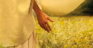 구주의 인도하시는 손