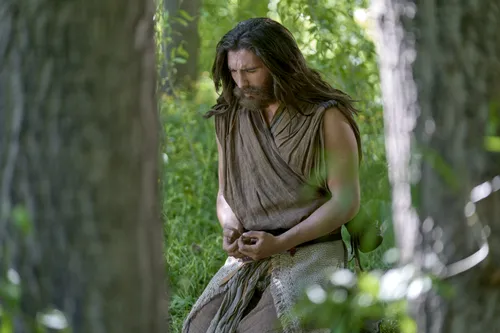 Nephi kneels in the woods to pray, and ask the Lord what he should do concerning his brethren.