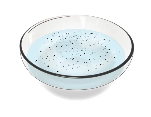bowl of water