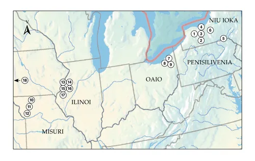 mape raici vakararaba