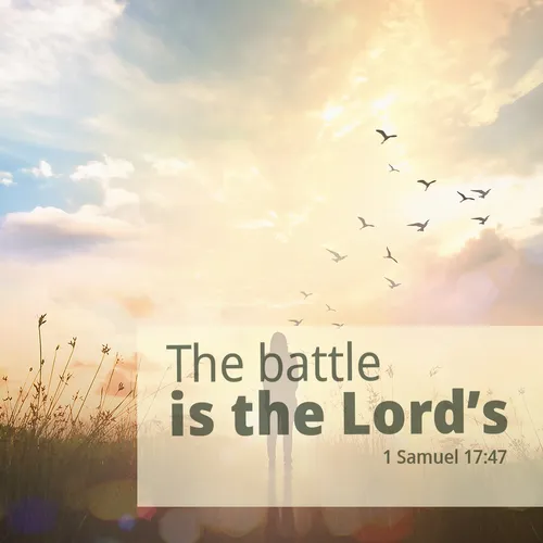 flock of birds flying