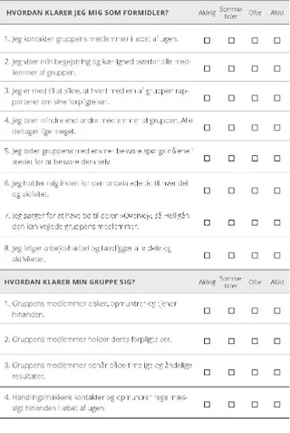 formidlerens selvvurdering