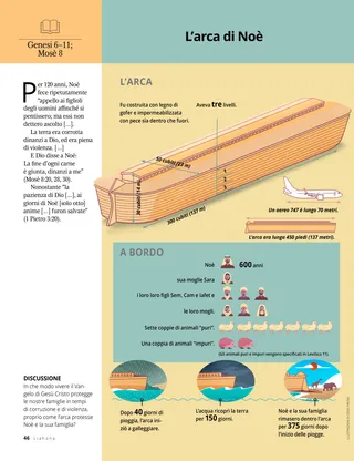 article about Noah’s ark