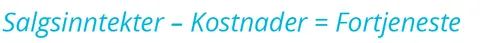Beregning av foretakets fortjeneste