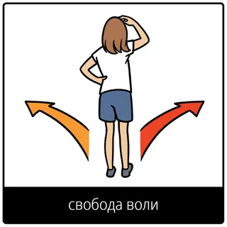 Евангельский символ «свобода воли»