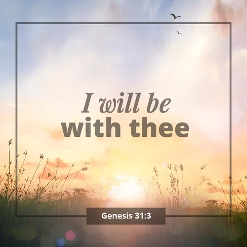 field of grass against sunrise