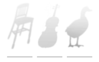 shadows of chair, cello, duck