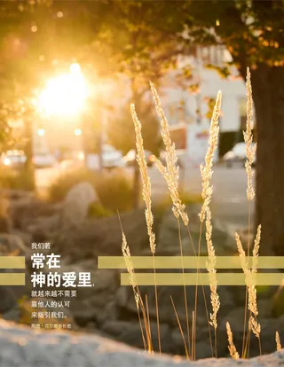 日光穿透树荫照在草地上